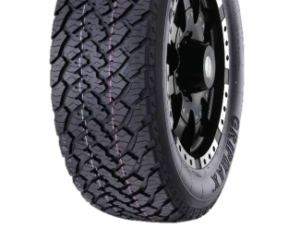 Gripmax INCEPTION A/T 3PMSF RWL XL 255/55R19 111H
