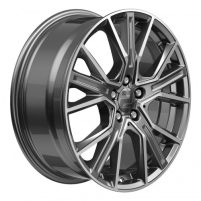 2drv WH34 DAYTONA GRAU POLONTPOLIER R21 5x112